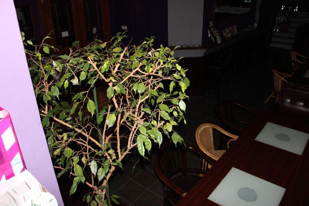 Club Hotel Praha Dış mekan fotoğraf